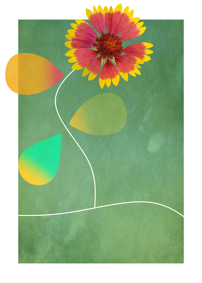 Flower 4
