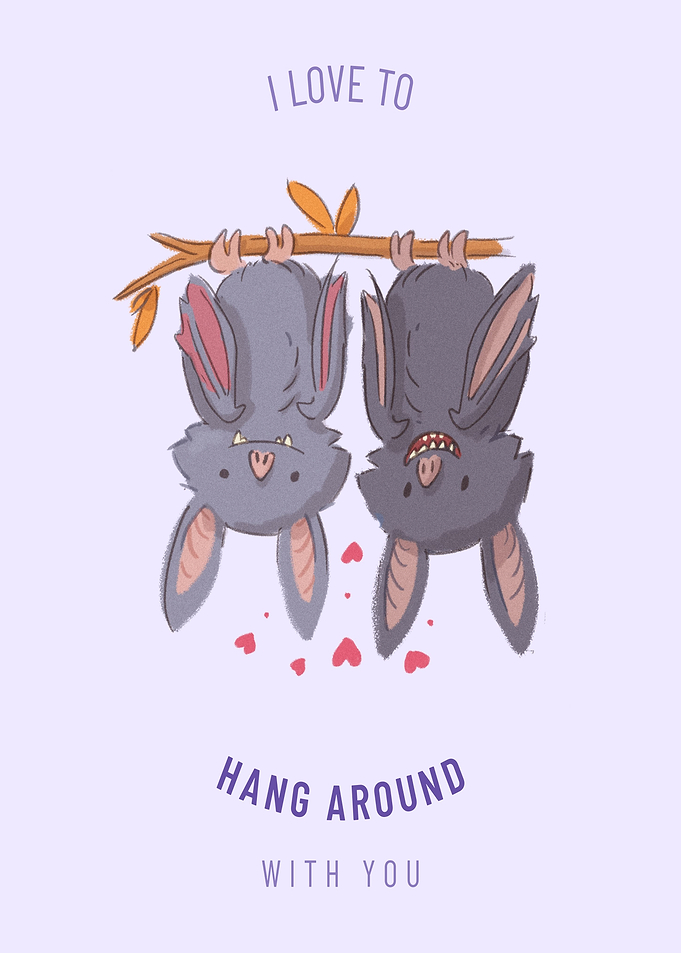 Funny Coala hang around