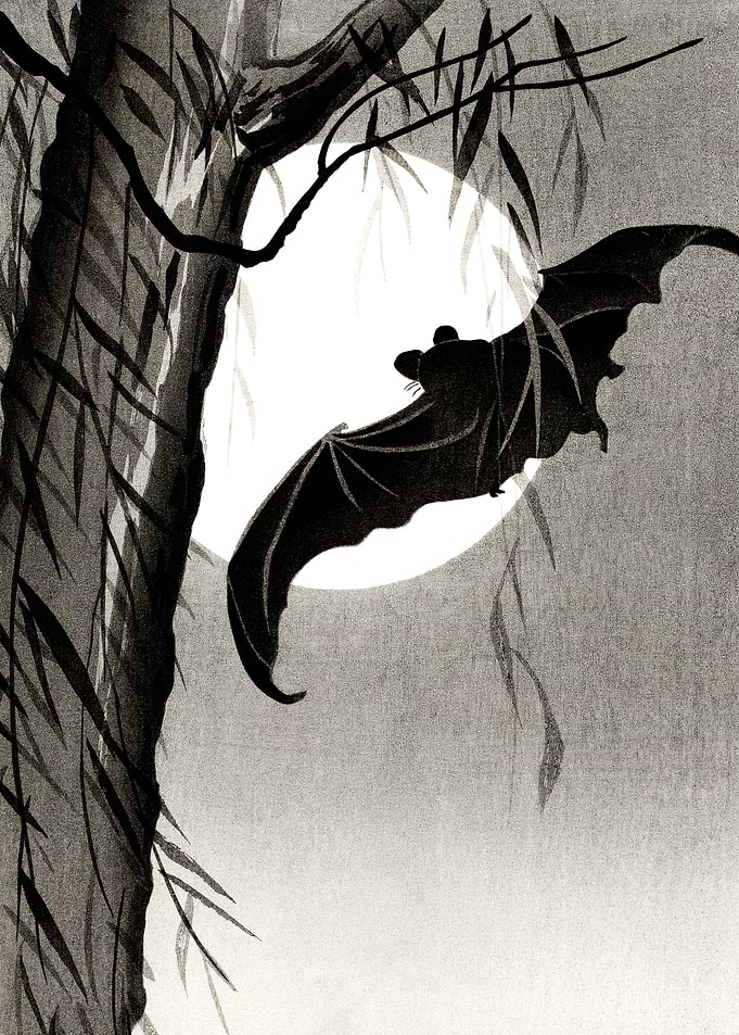 Bat and full moon woodcut