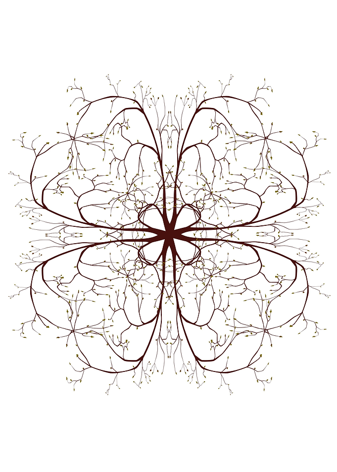 Tree Branches Mandala