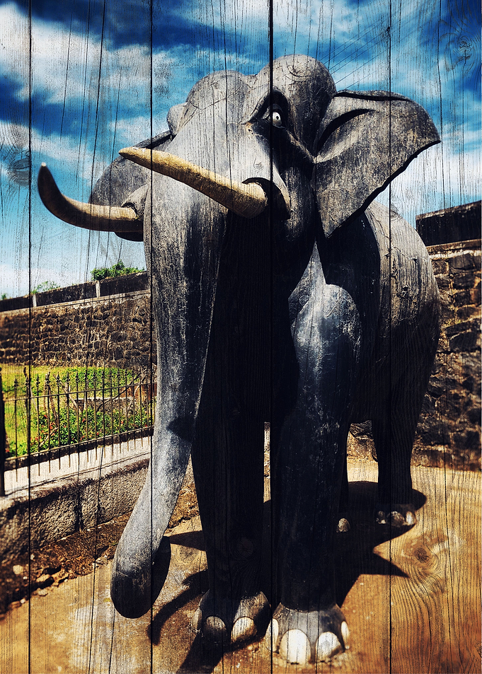 Elephant Art