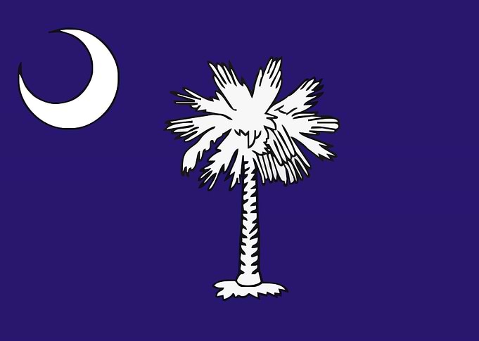 south carolina flag