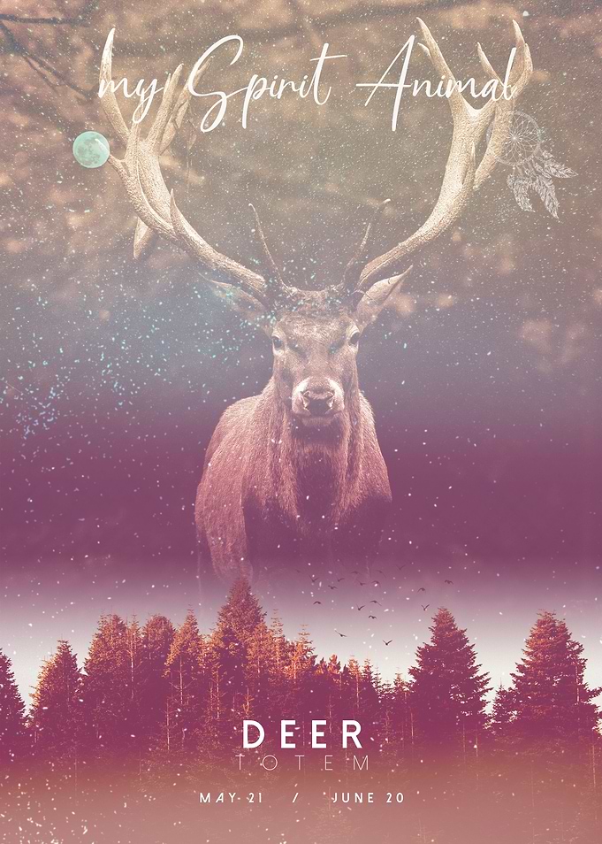 Spirit Animal Deer