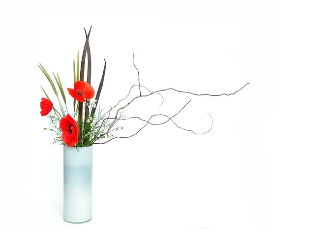 poppy ikebana