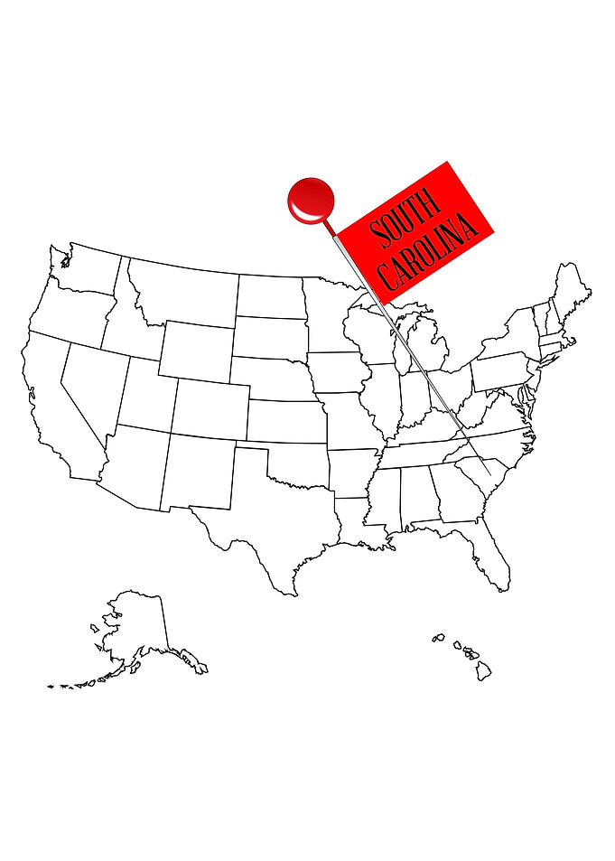 Knob Pin South Carolina