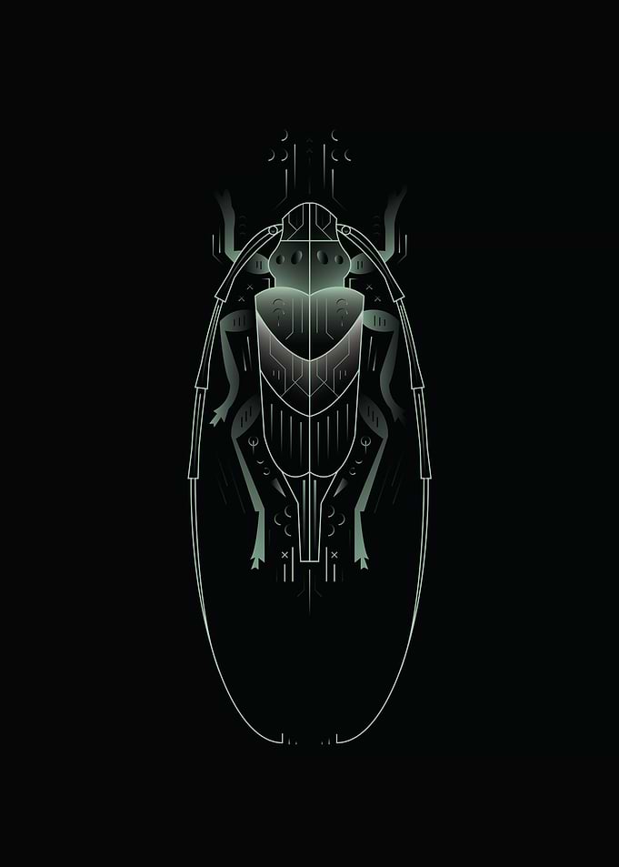 Insectopedia v6