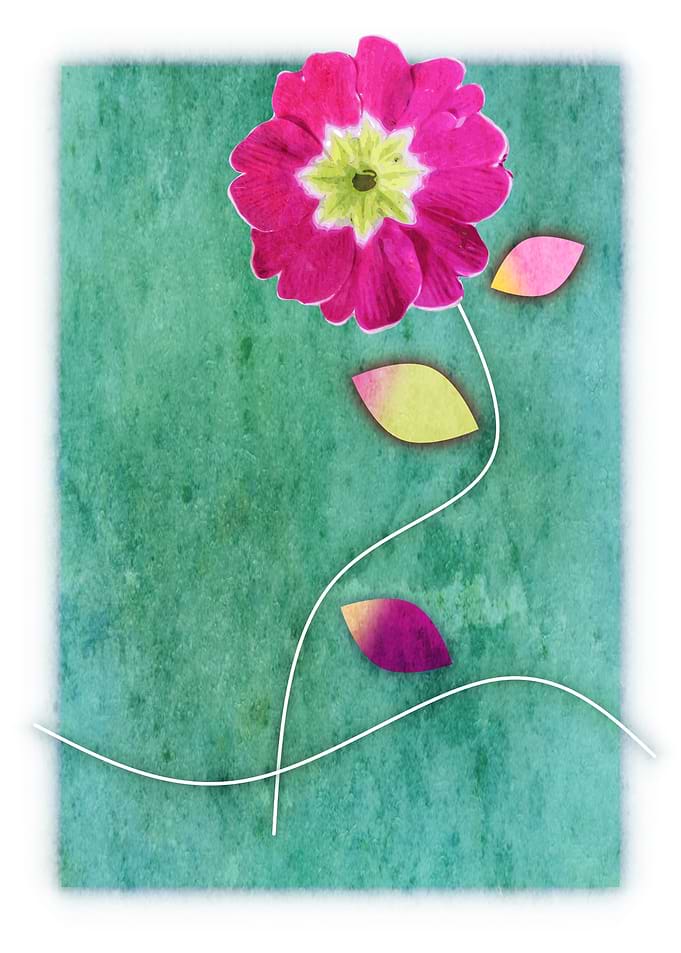 Flower 15