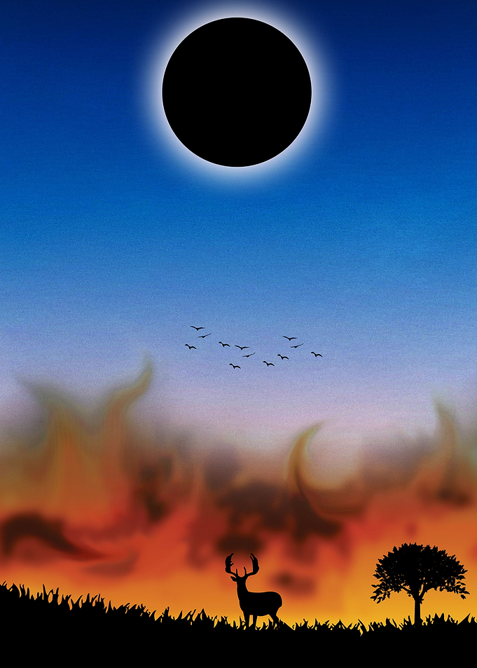Bushfire