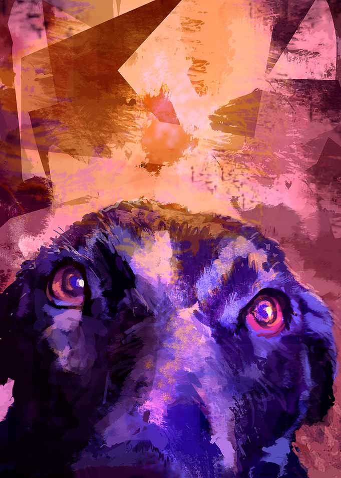 Dog negra 01