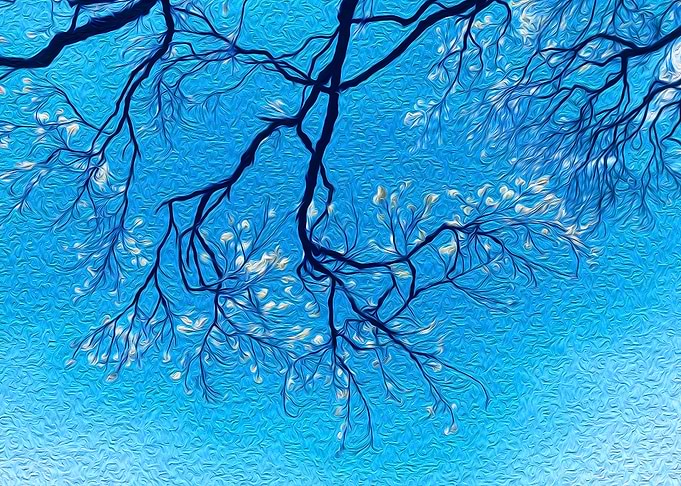 Branching Out to the Sky