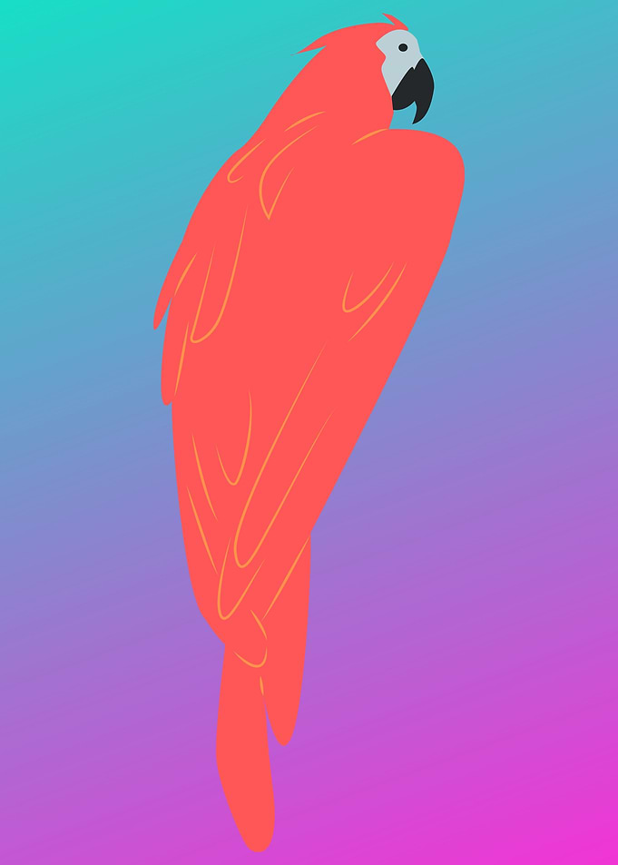 cute colorful parrot art