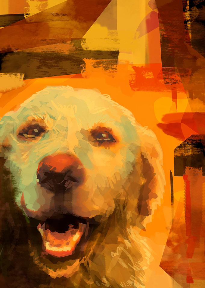 dog mia 02