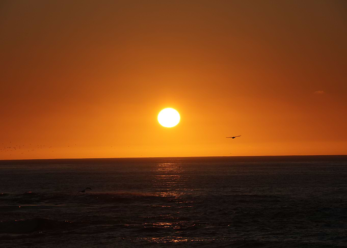 California sunset
