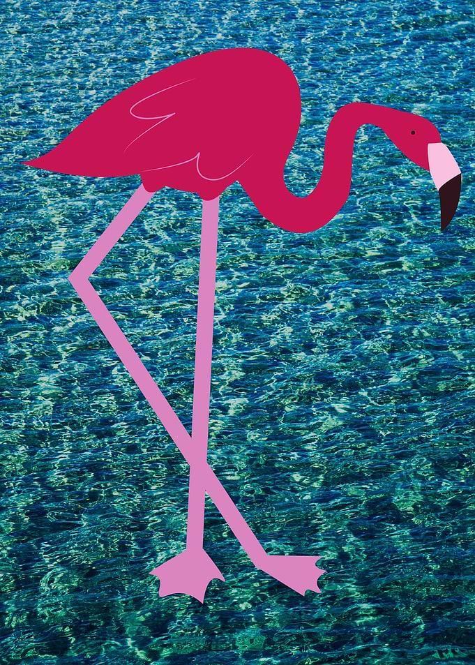 beautiful swan art