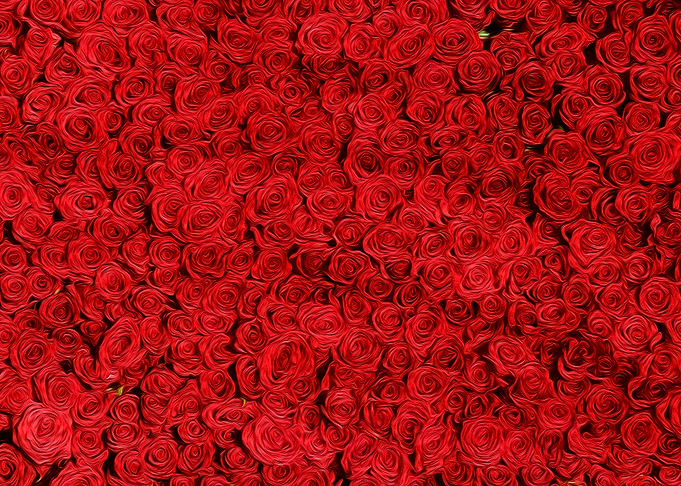 Red Roses