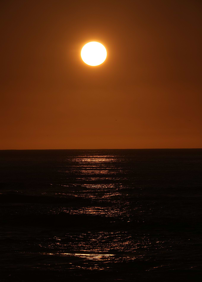 California Sunset