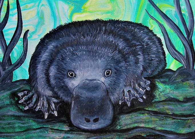Platypus