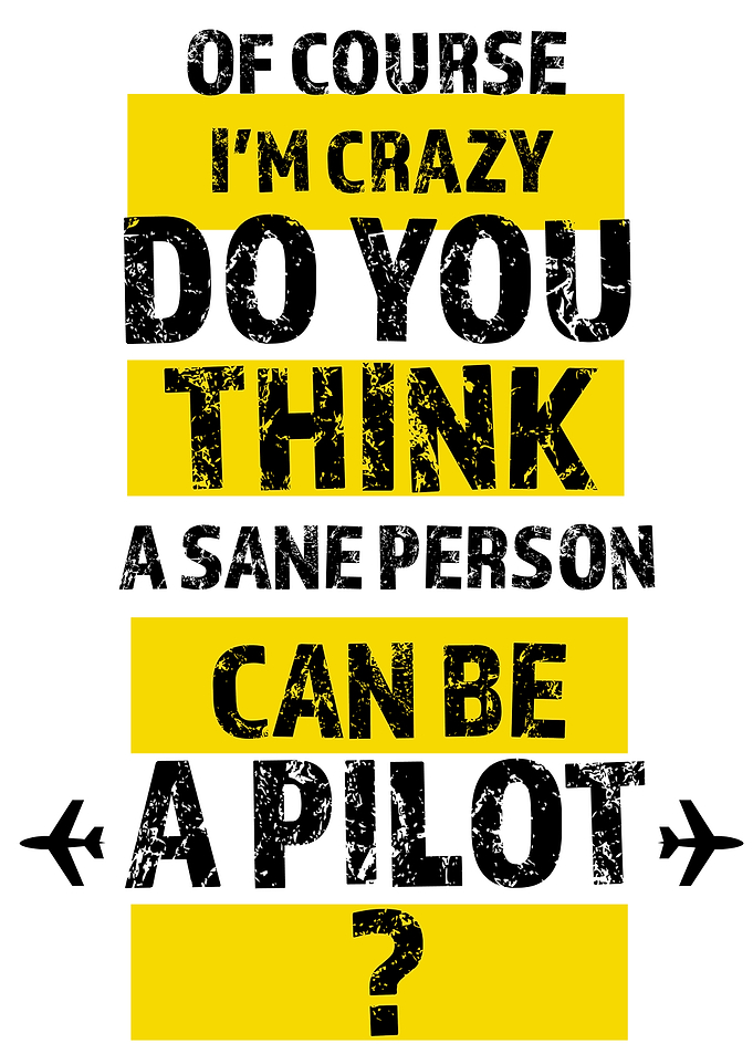 Airplane or drone pilot