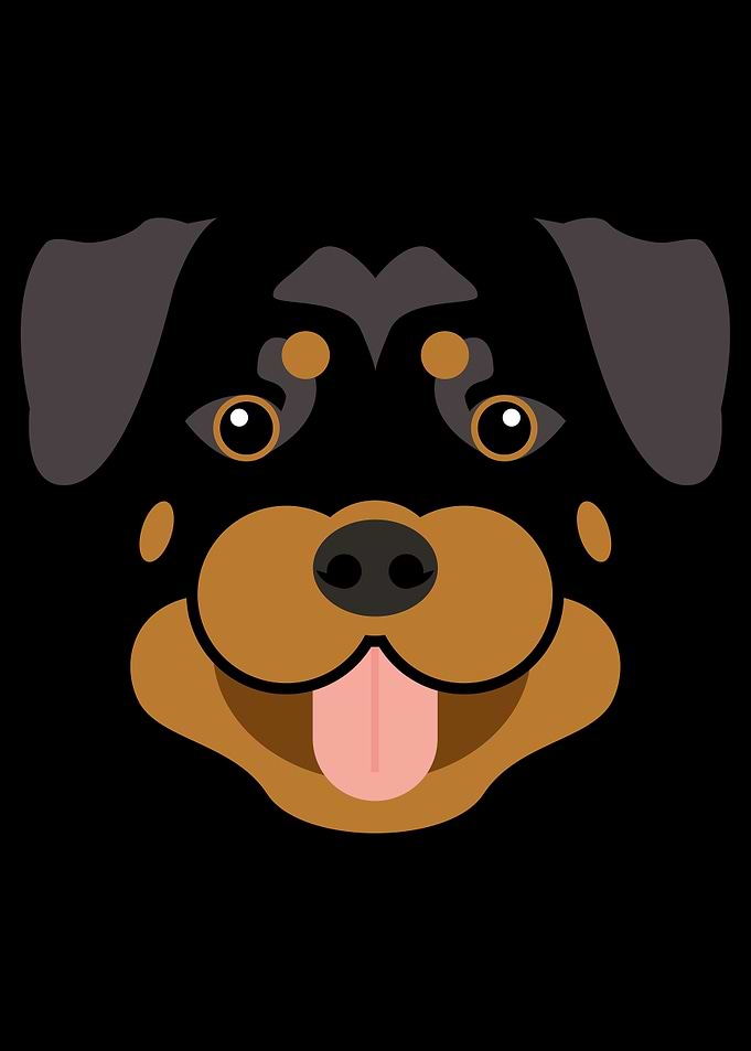 Rottweiler dog face