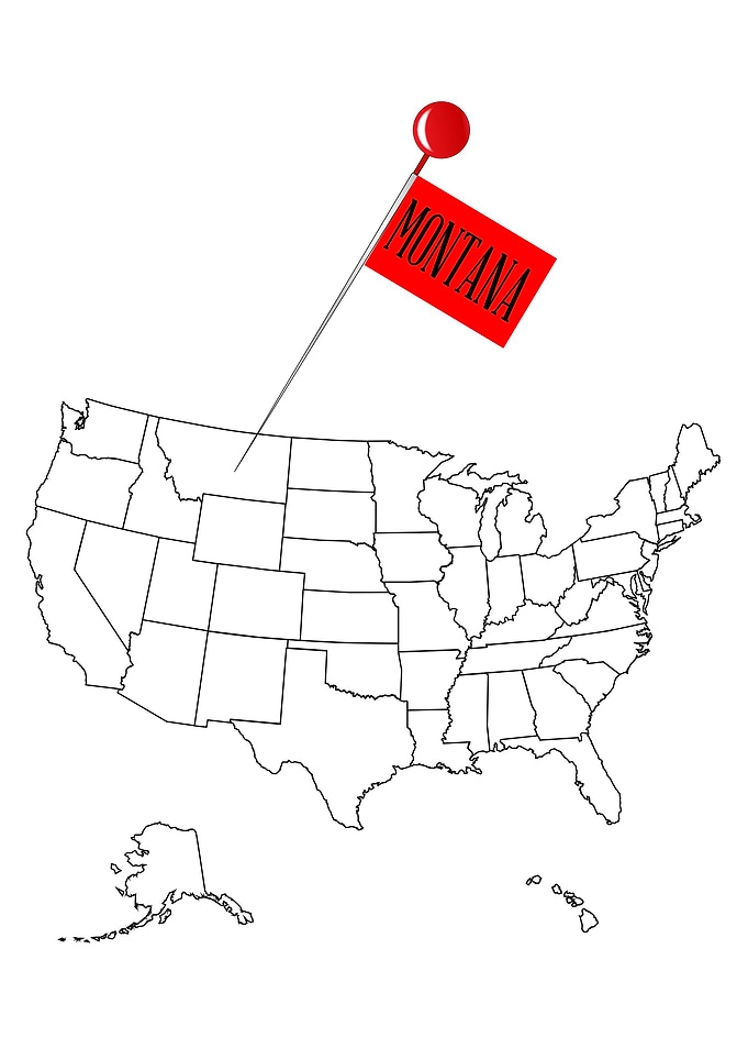 Knob Pin Montana