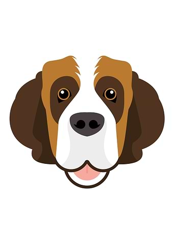 Saint Bernard dog face