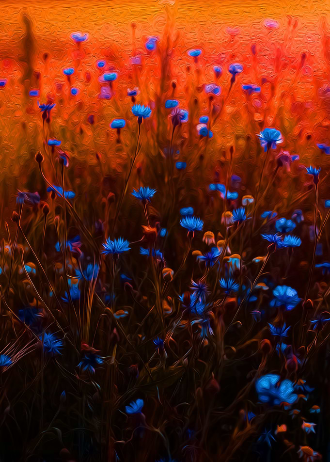 Blue Flowers in the Grass