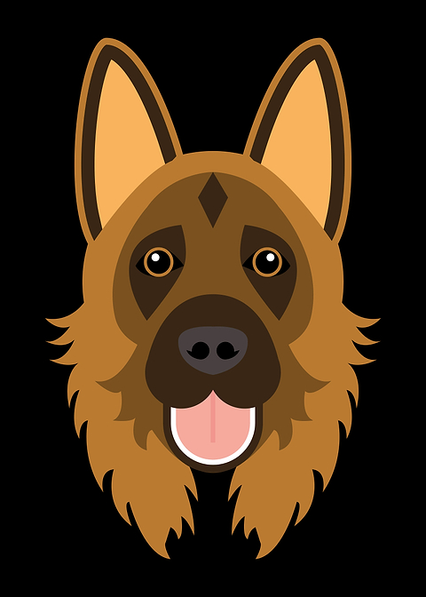 German Shepherd dog face