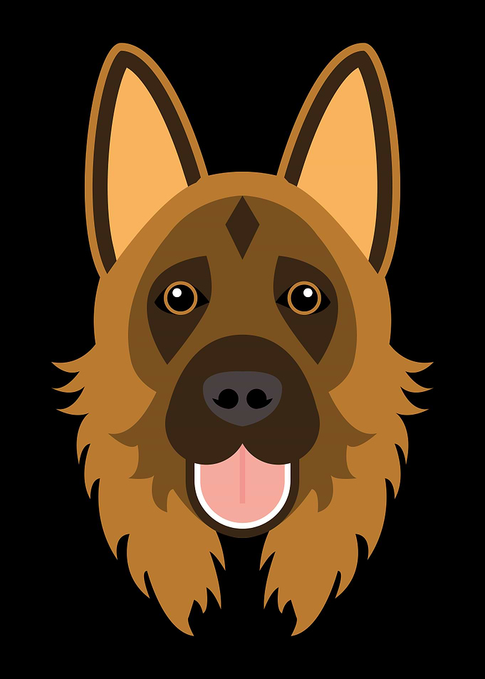 German Shepherd dog face