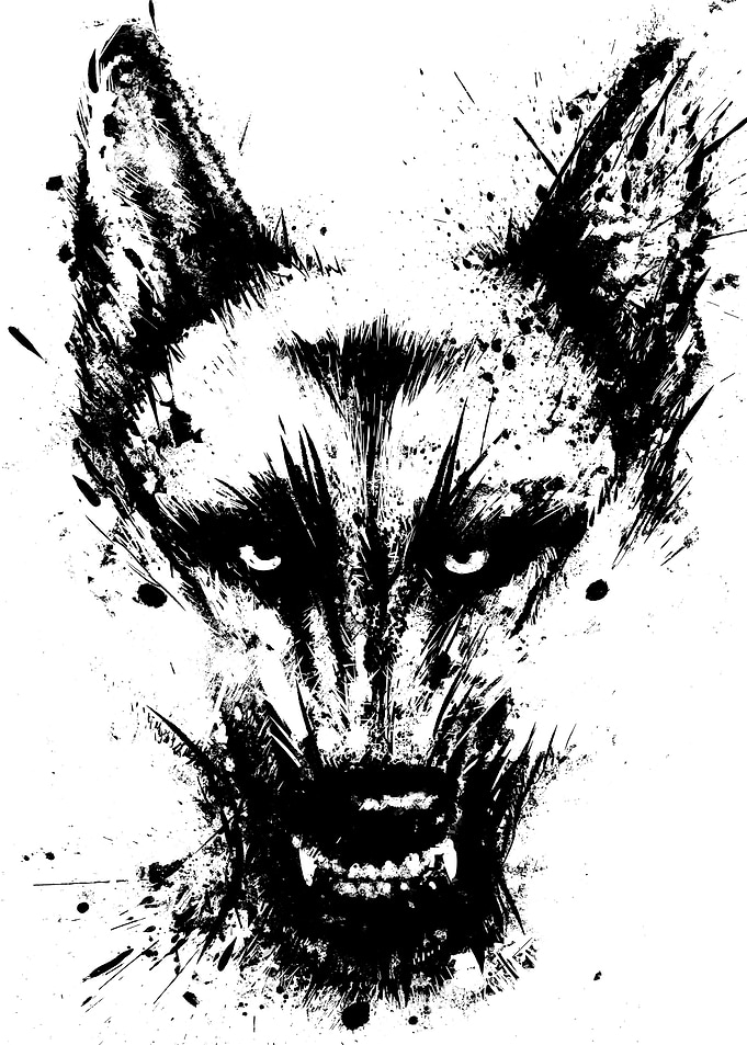 German Shepherd k9