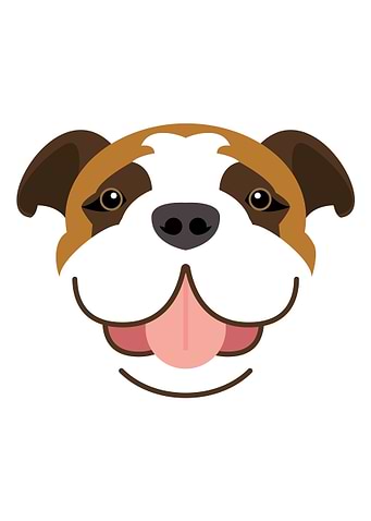 Bulldog dog face