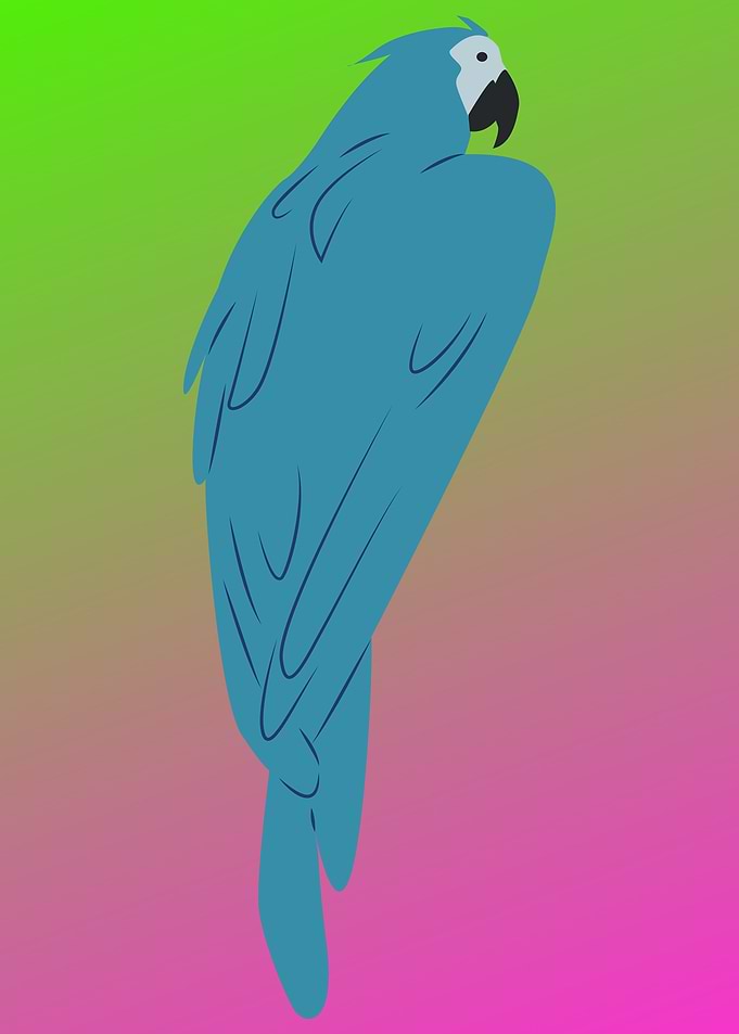 cute colorful parrot art