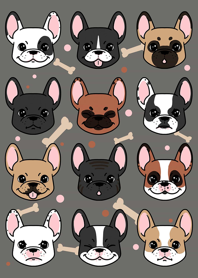 Many frenchies