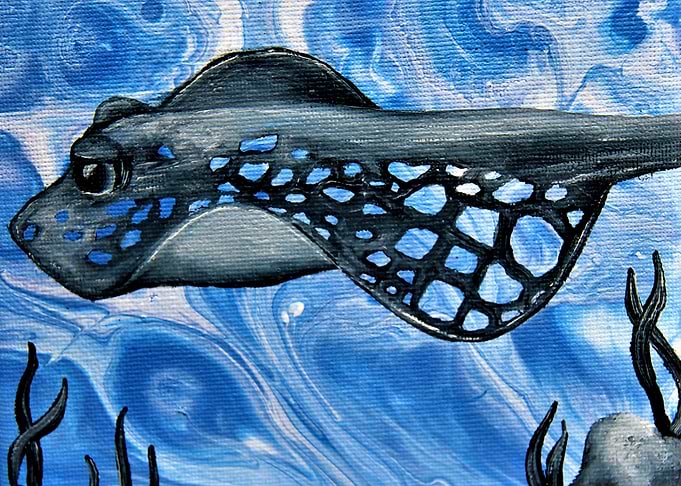 stingray