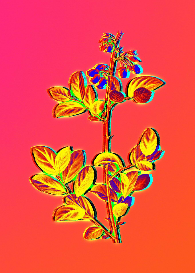 Neon Floral Illustration