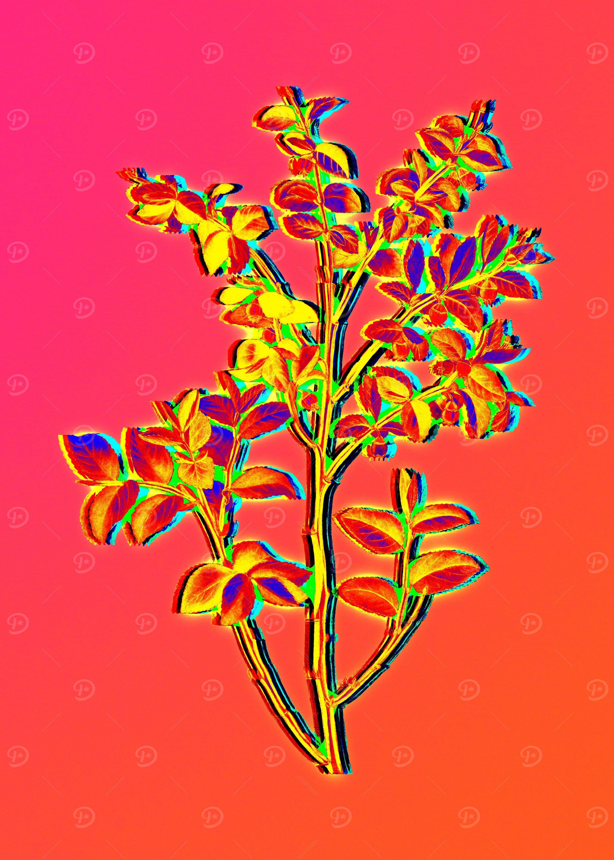 Neon Flower Illustration