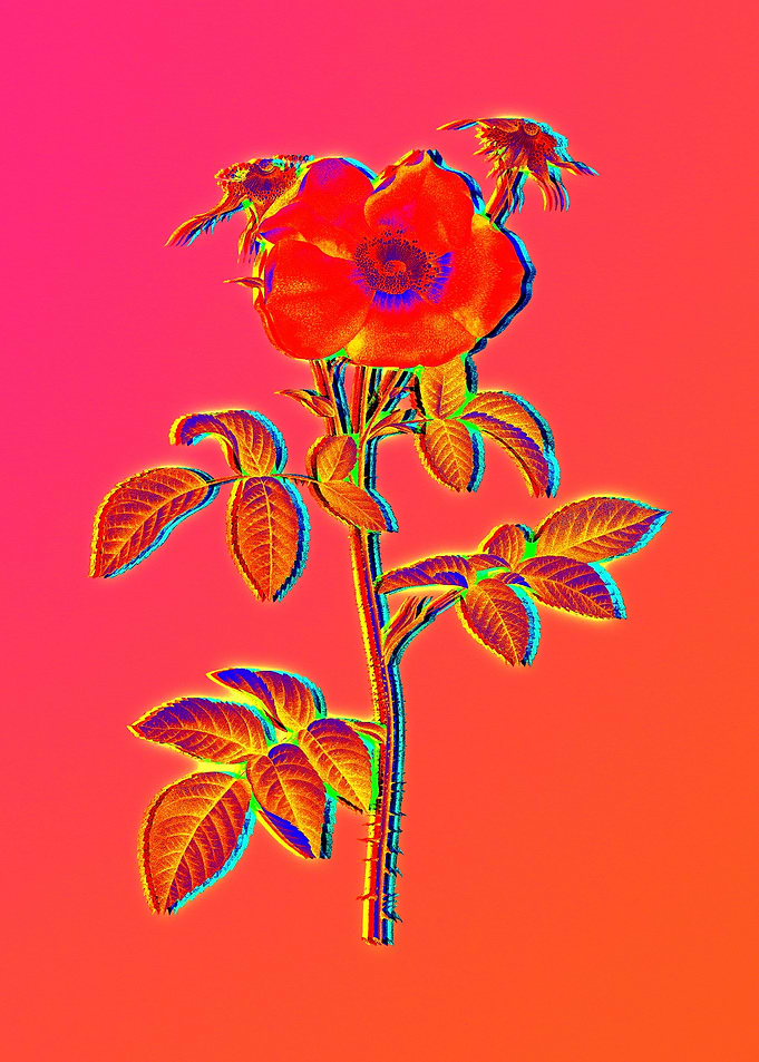 Pink Neon Rose Painting
