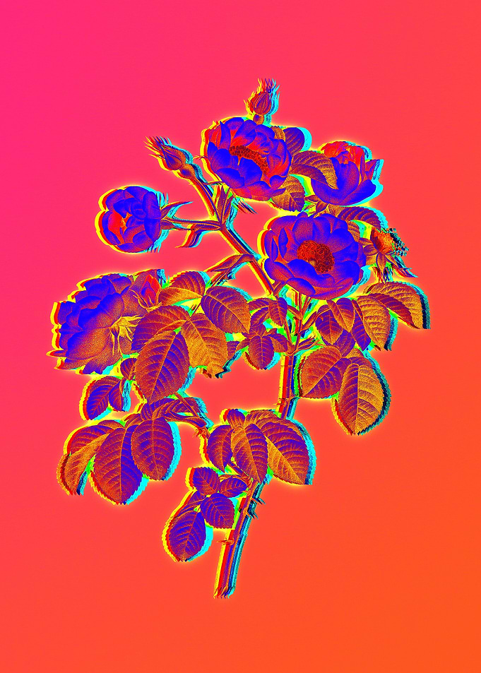 Pink Neon Rose Painting