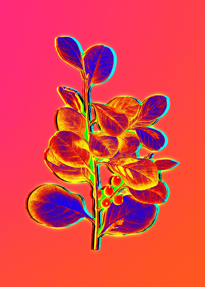 Neon Floral Illustration