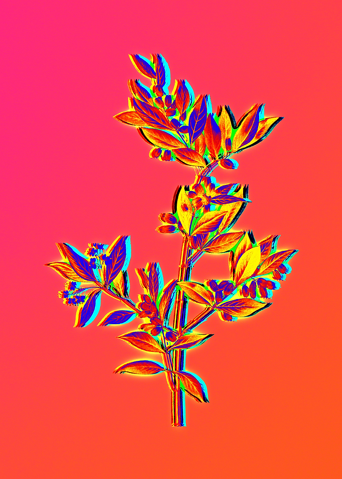 Neon Floral Illustration