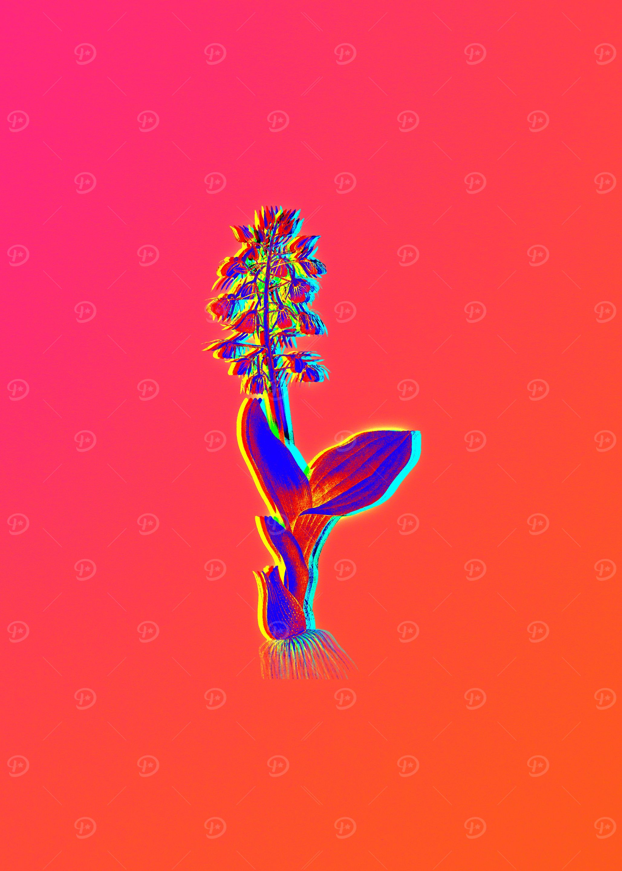 Neon Botanicals Drawing