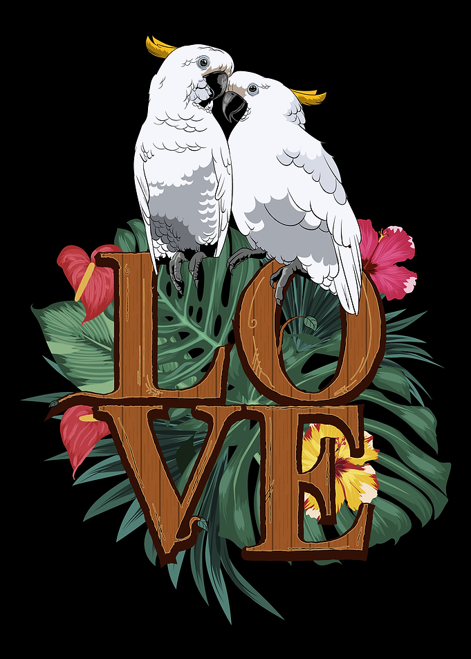 Cockatoo Bird