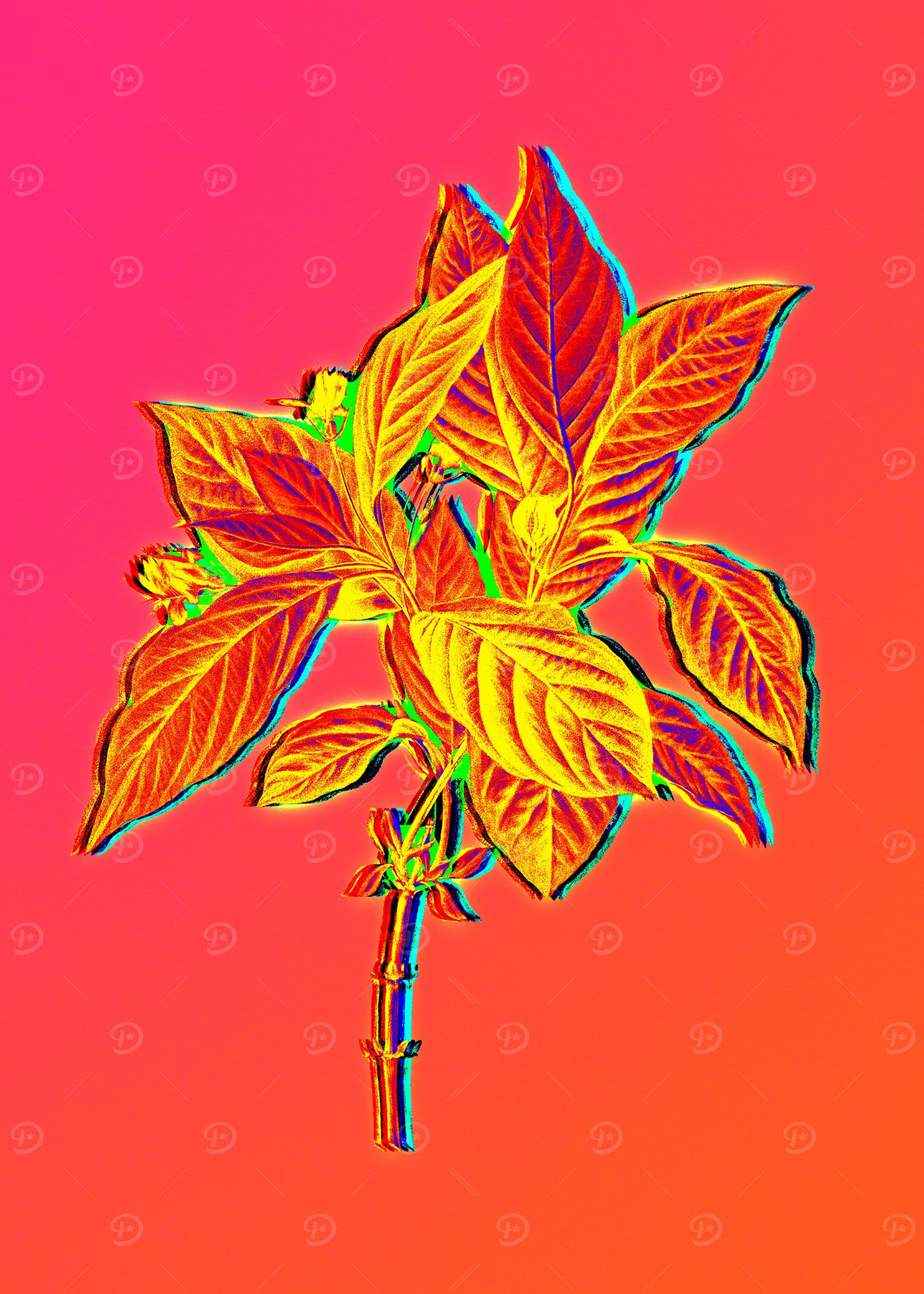 Neon Botanical Drawing