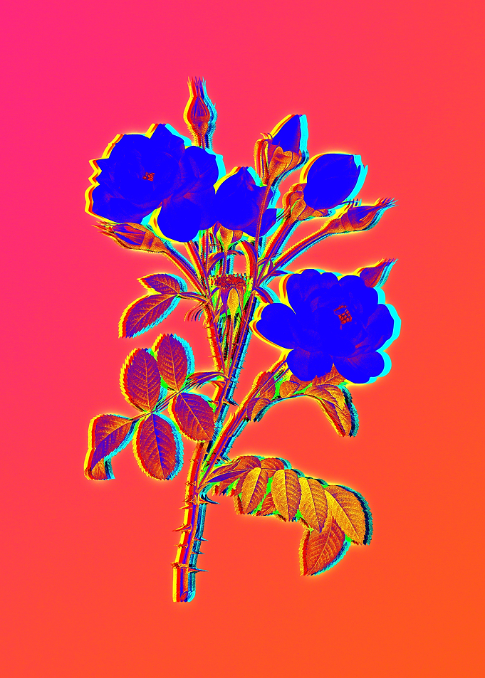 Neon Flora Illustration