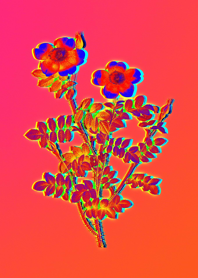 Pink Neon Rose Painting