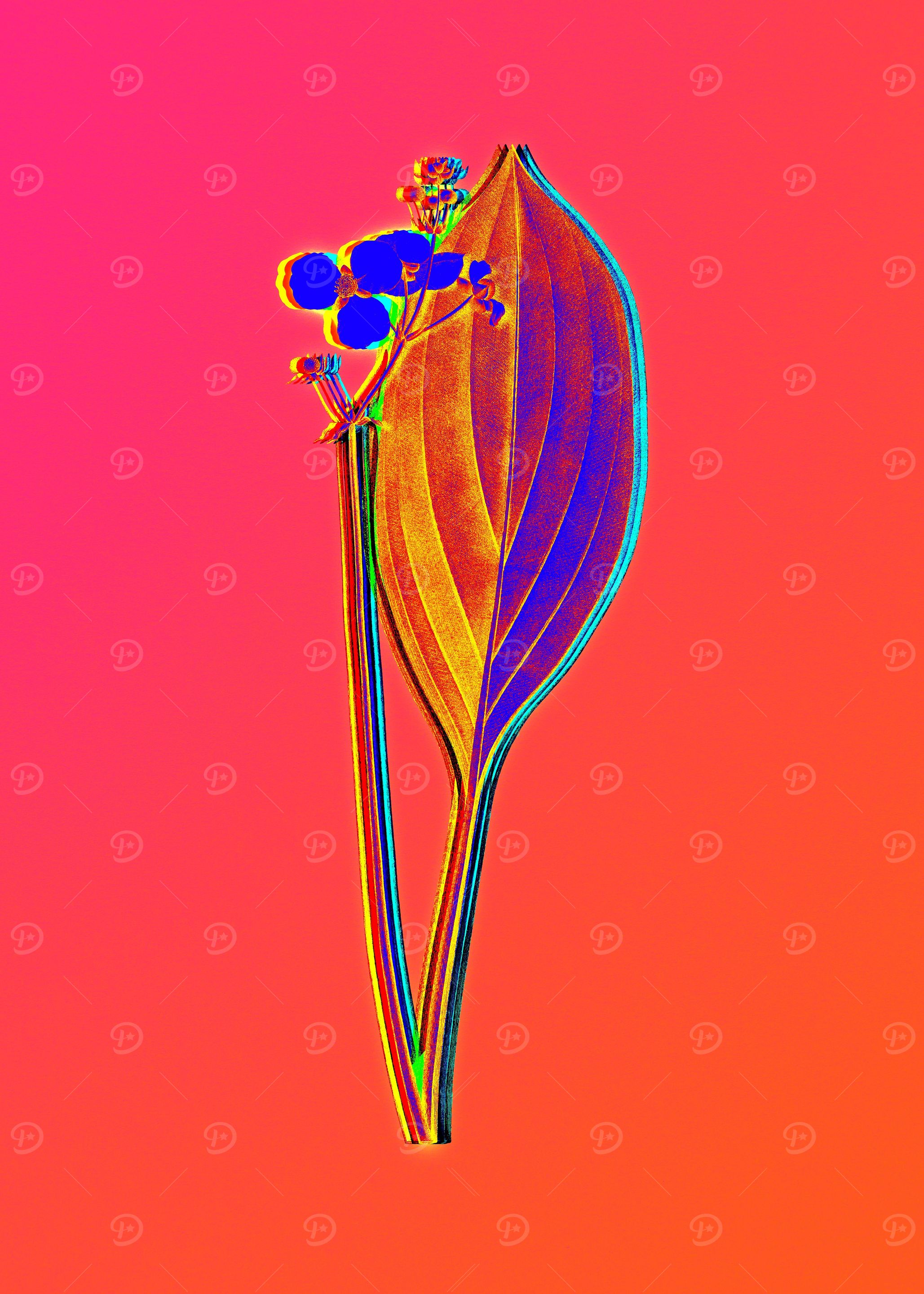 Neon Botanicals Drawing