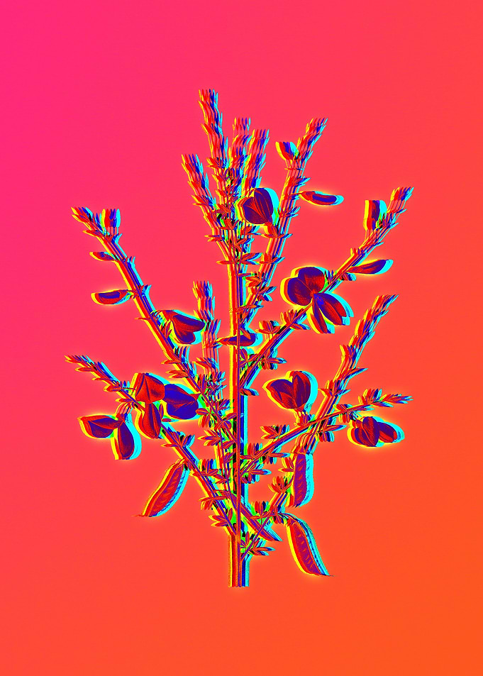 Hot Flower Illustration