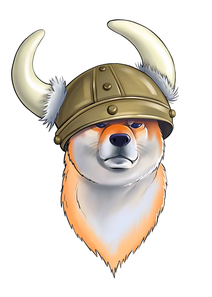 Shiba with Viking Helmet