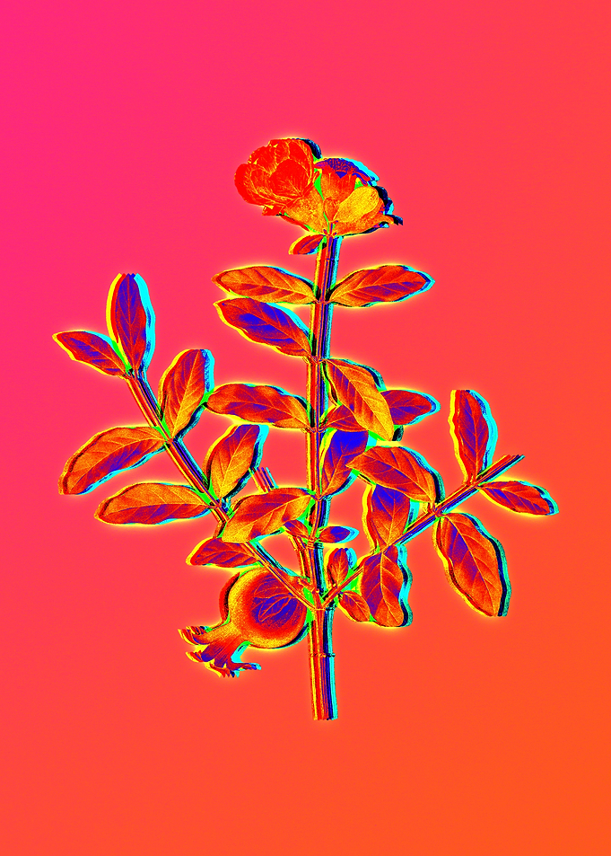 Neon Floral Illustration