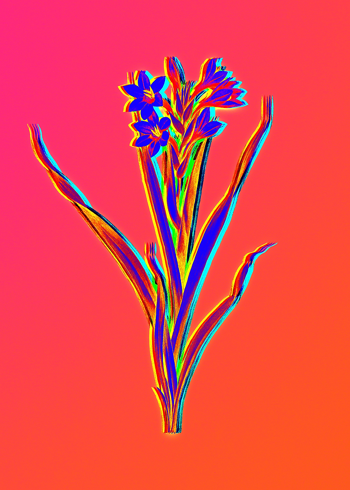 Neon Flower Illustration