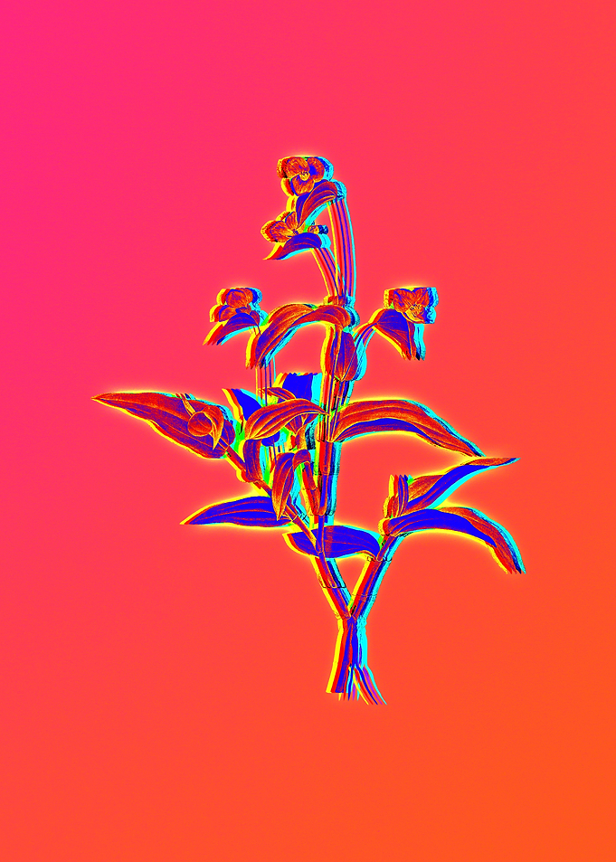 Neon Florals Illustration